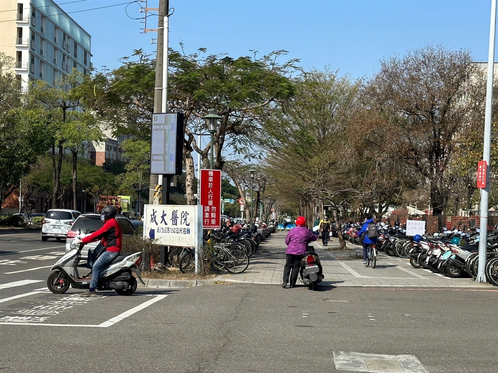 台南市區小東路人行道上劃設機車停車格，民眾找車位必須「牽行」機車，不可違規行駛在人行道上。記者鄭維真／攝影 