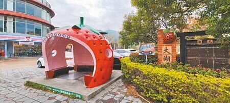 新竹客運將在今年停業,大湖鄉草莓造型候車亭將只剩「打卡」功能。(謝明俊攝)