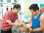 狂犬病疫苗　桃縣4萬劑明起免費打