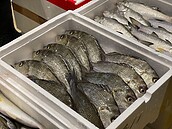 她驚「1條魚僅5元」敢買嗎？內行人曝高CP值魚種　這時間買最划算