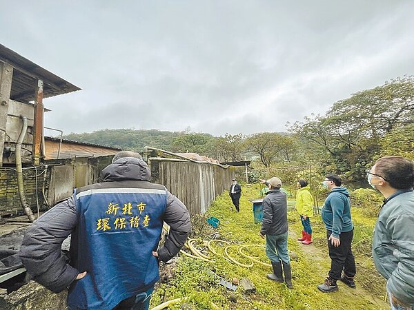 北部主要的黑毛豬養殖區集中在新北市林口的瑞樹坑溪流域周圍,多年來排放的汙水造成溪流嚴重破壞,雖然新北市農業局積極爭取補助改善,但仍有2家畜牧場持續惡意偷排,已遭新北市環保局舉發。(民眾提供/黃敬文新北傳真)