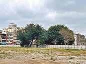 竹市大湳雅公園綠美化　拚暑假前完工