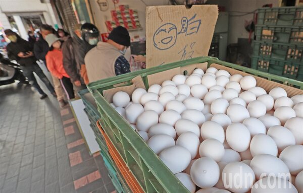台灣缺蛋、蛋價又不斷飆漲，引發民怨。 記者陳正興／攝影 