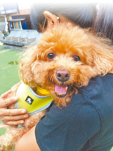 寵物被視為家人,身後事也愈來愈講究,飼主寄望有合法安全的公辦寵物生命紀念館,新北市動保處坦言難度高。圖為示意圖。(新北市動保處提供/陳慰慈新北傳真)