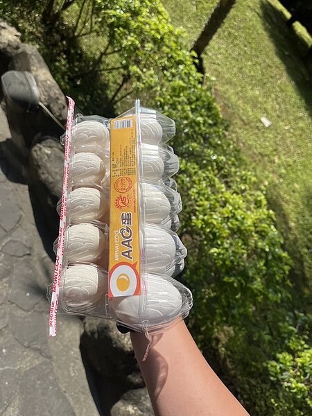 犯嫌交付偷來的兩盒雞蛋，經警方觀察沒異狀，協助返還給失主葉姓女子。記者翁至成／翻攝