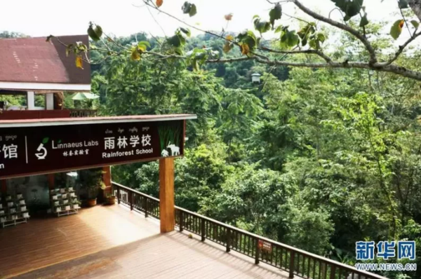 雲南積極推廣綠色環保概念。圖為雲南西雙版納勐臘縣的「雨林學校」。（新華社）