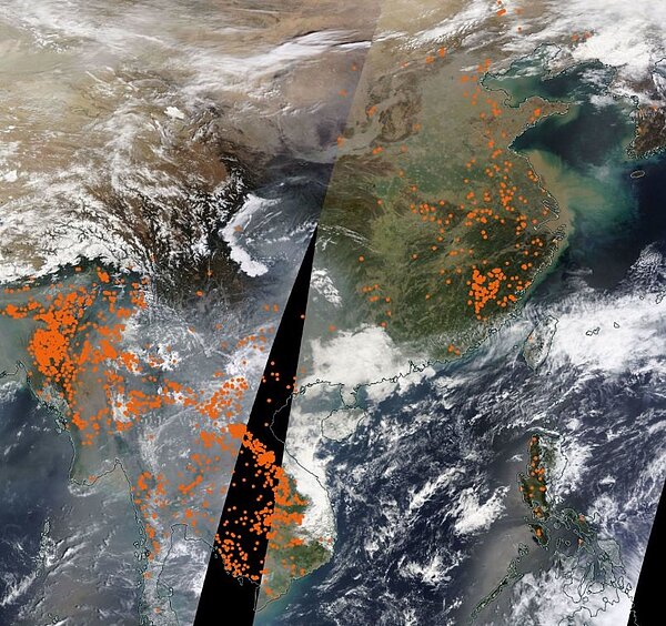 衛星偵測到多處火點。影像來源：NASA／EOSDIS。圖取自鄭明典臉書