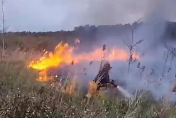 台糖港墘農場擬砍樹種電，遭媒體踢爆，居民反對，3處無名火藏貓膩。圖／余仁傑提供