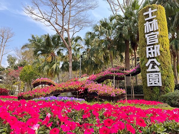 花in台北驚現彩色大地花毯。圖/台北市府提供