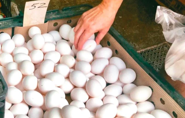 雞蛋產銷表示本周六將再討論雞蛋是否漲價問題。聯合報系資料照