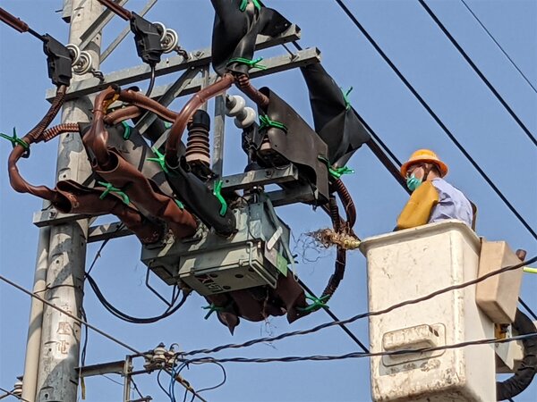 台電公司為了避免因鳥類在電桿上築巢又造成停電事，近期展開加強線路巡視。圖／台電提供