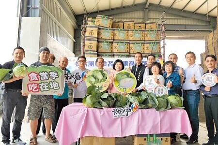 
高麗菜盛產買氣不佳，雲林縣政府媒合團膳業者採購穩定產銷。（張朝欣攝）
