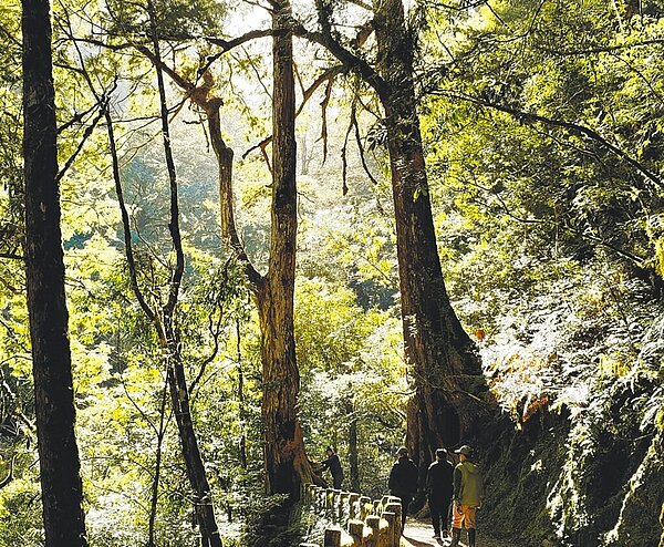 桃園市拉拉山國家森林遊樂區優化各項設施,遊客中心也提供簡易餐飲服務,將在4月18日重新開園。圖/新竹林區管理處提供