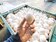 彌補短期雞蛋缺口　進口蛋救援 4、5月各逾3千萬顆
