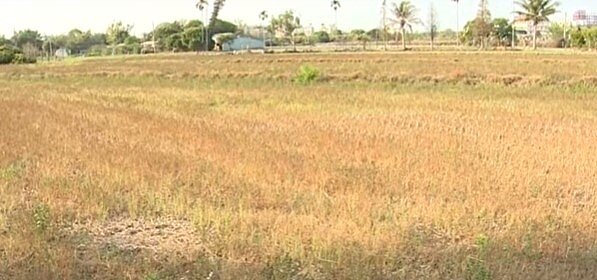 現在投資房地產的人多,也有人專門鎖定農地。圖/東森新聞