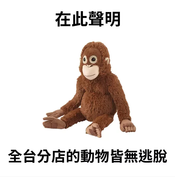 IKEA發文指出,「IKEA在此聲明,全台分店的動物經確認後確定皆無逃脫情況」。圖/取自IKEA臉書粉專