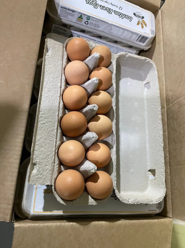 農委會表示，月底前要從澳洲進口500萬顆雞蛋；分配到加工廠，也將進入北部零售市場。圖為澳洲進口雞蛋。圖／業者提供