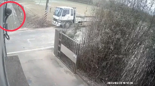 稍早臉書我是富岡人有民眾PO出上午10時許於楊梅民生街338巷的監視器畫面，只見狒狒沿著圍牆爬，嘴巴更叼著一個東西，在竄逃。圖／取自臉書我是富岡人