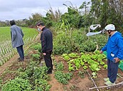 脫逃狒狒闖入台鐵富岡基地　專家從一行為看出「牠長期被飼養」