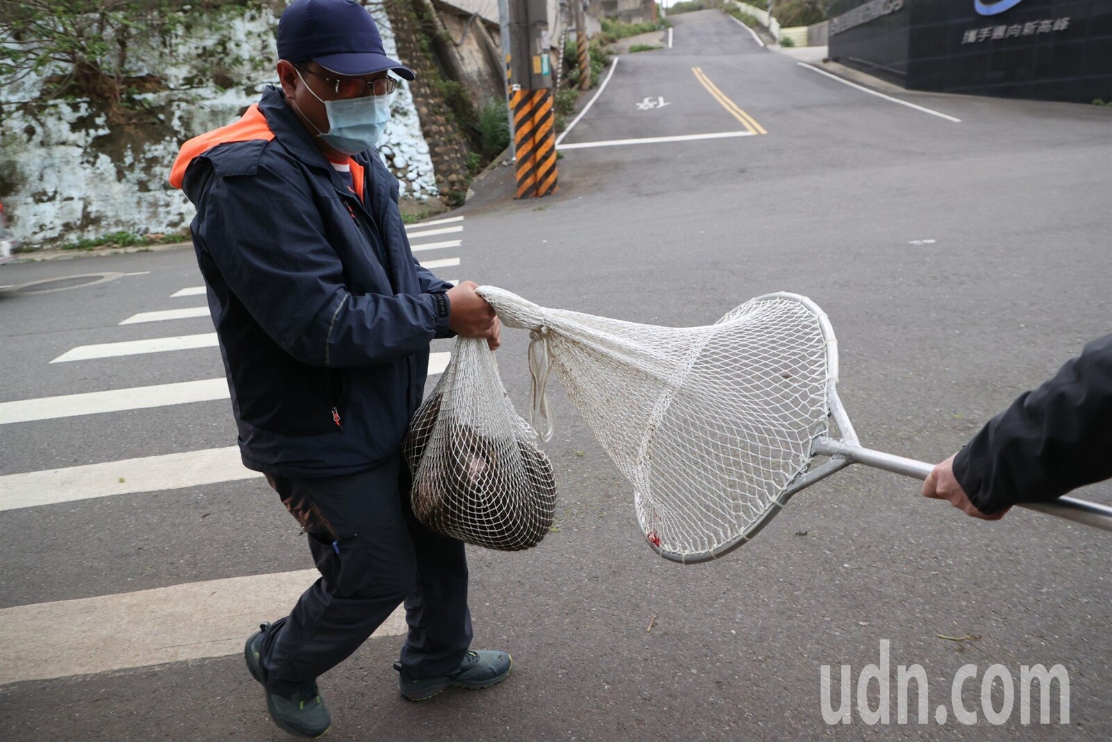 圍捕過程中狒狒遭麻醉槍射中倒地後，檢查發現牠身上另遭獵槍射傷，緊急送醫救治後仍不治。記者陳正興／攝影 