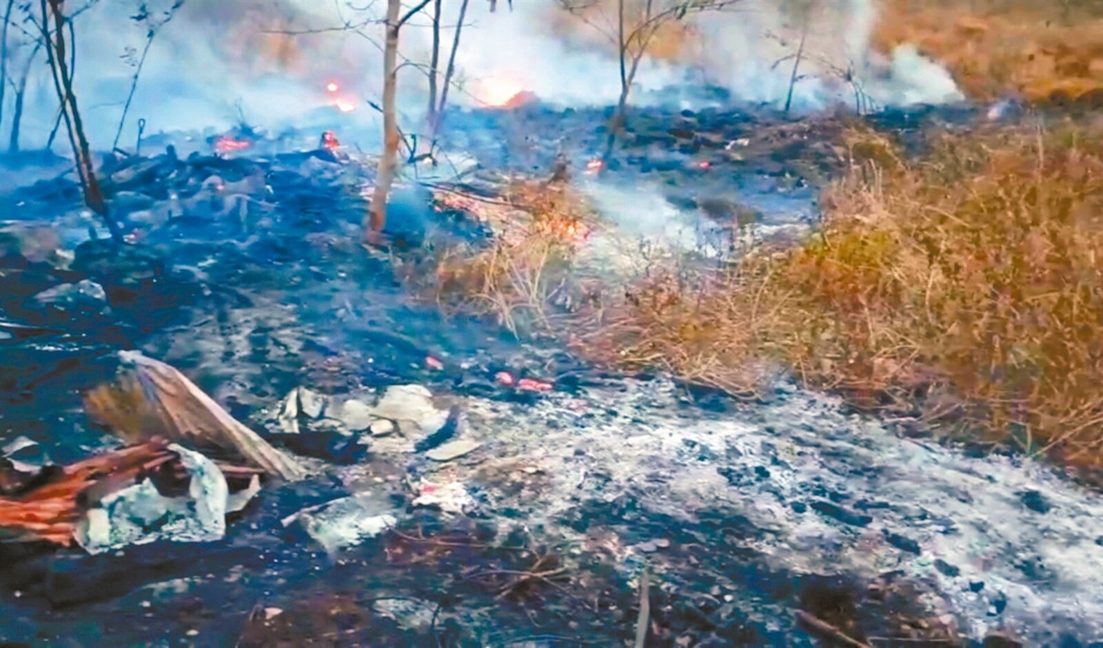 台東知本濕地前天傍晚發生雜草火警,延燒至昨天凌晨1點多撲滅,現場滿目瘡痍。記者卜敏正/攝影