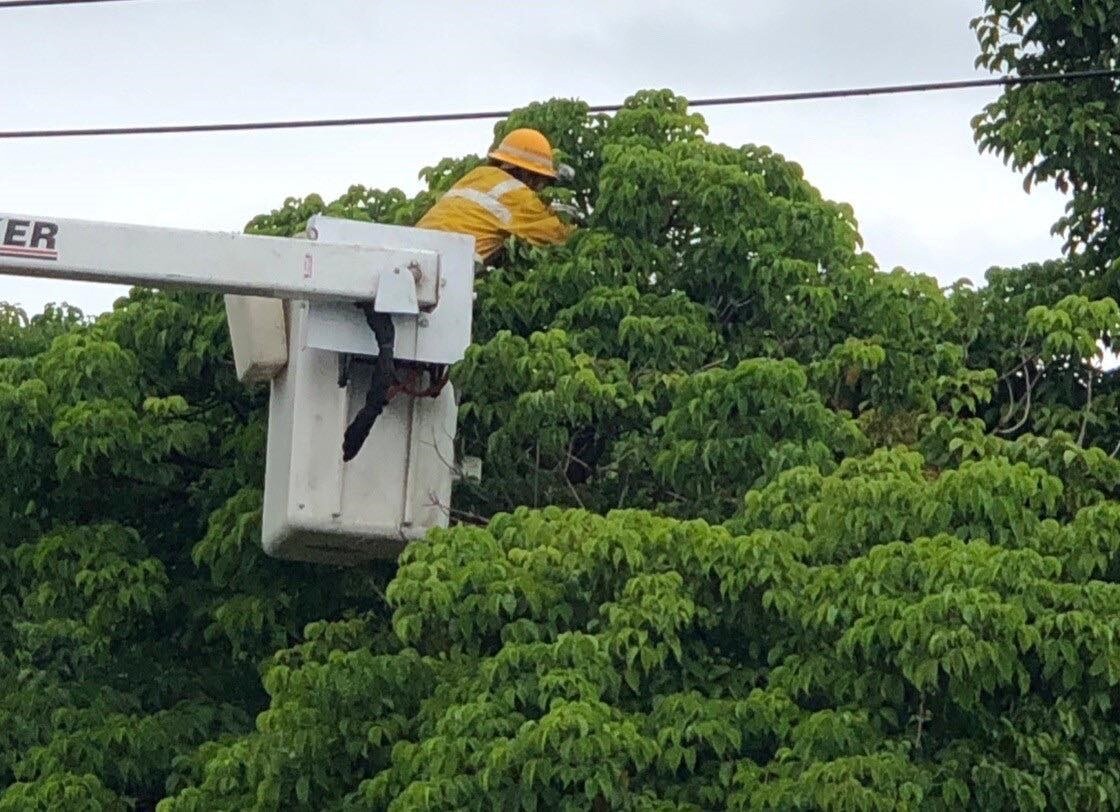 為了避免鳥類在電桿上築巢干擾配電設備造成停電事故，台電每年都派出員工在轄區內加強線路巡視。圖／台電北西區營業處提供	