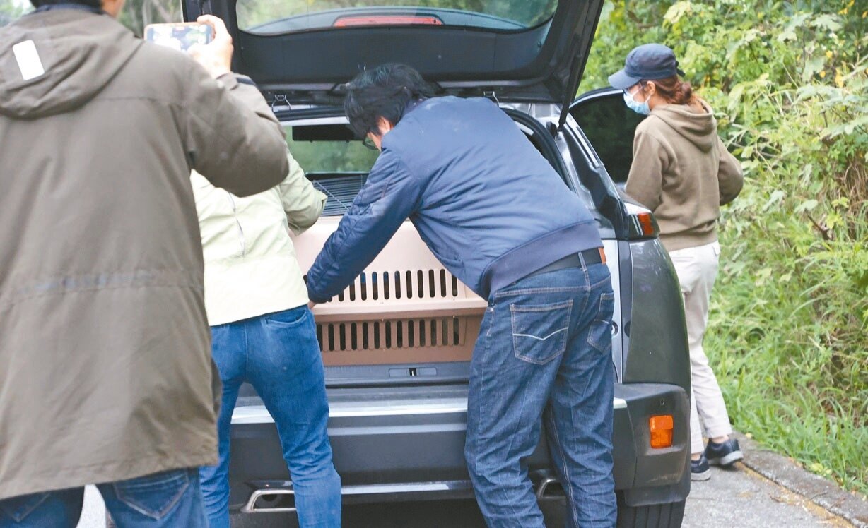 新竹縣六福村昨坦承狒狒為六福村所有。圖為日前狒狒被捕捉到時,被放進臨時拿來的狗籠內,交付給六福村人員。記者陳正興/攝影