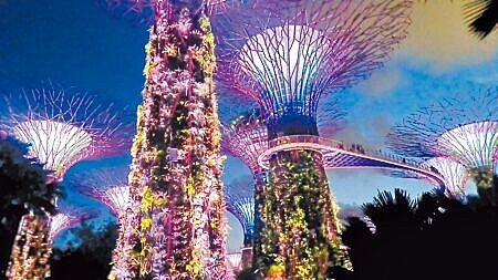 造型奇特又醒目的「超級樹」,是新加坡的代表景致,夜晚有夢幻燈光秀,推薦必遊。(陳韻萍攝)