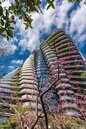 亞太智慧綠建築聯盟參訪陶朱隱園　讚「全球綠建築指標」