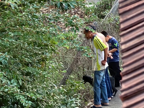 打赤膊的男子將貓科動物趕下樹，任由犬群追趕獵殺，事後與親友前往犬隻圍攻現場查看。圖／擷取自臉書「爆料公社」