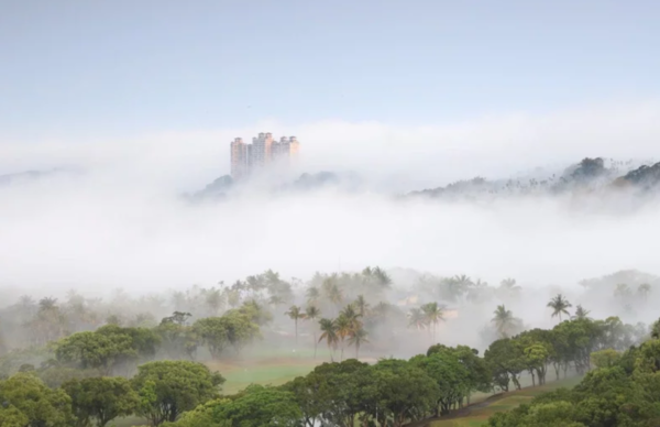 仁義湖畔嘉南第一景大樓雲霧繚繞如夢幻仙境。圖／曾國根提供