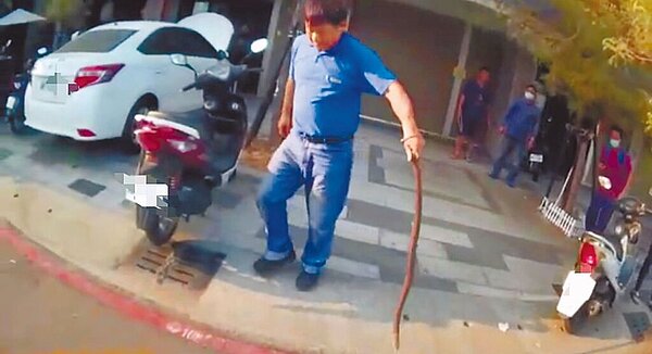 民眾向警方報案指有蛇爬進民宅前轎車引擎蓋內,員警立即前往管制並通報農業局等單位到場「捉蛇」。(高雄市警方提供/林雅惠高雄傳真)