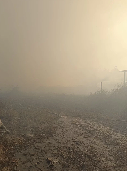 高雄市林云三路一處農地前天起火燃燒，昨天火勢才完全撲滅，煙霧濔漫造成不少人咳嗽不舒服。圖／邱于軒服務處提供