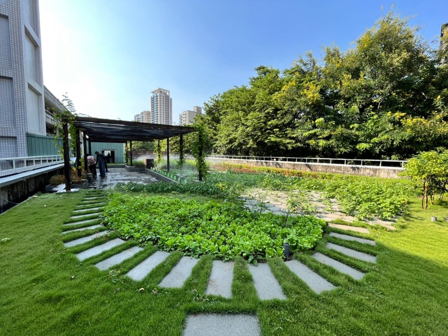 高市立體綠化屋頂花園補助開跑 最高可獲80萬元 近年高雄市政府致力推廣立體綠化。圖/高雄市工務局提供