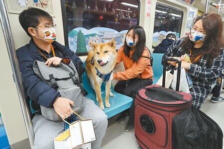 
響應國際寵物日，台北捷運9日推出一日限定「寵物專車」活動，讓毛小孩可以坐在車廂座椅或窩在飼主腿上，寵物與主人共享愉快的捷運旅程。（劉宗龍攝）
