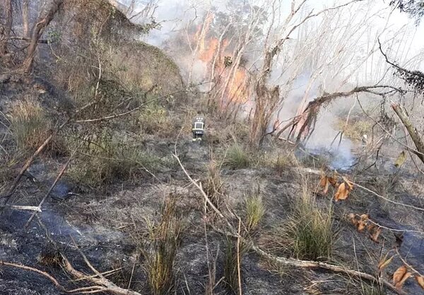 苗栗縣苑裡鎮苑東里9日火災,燒毀約150坪雜草樹林、2輛機車,警方現場帶回一名中年男子調查。圖/民眾提供