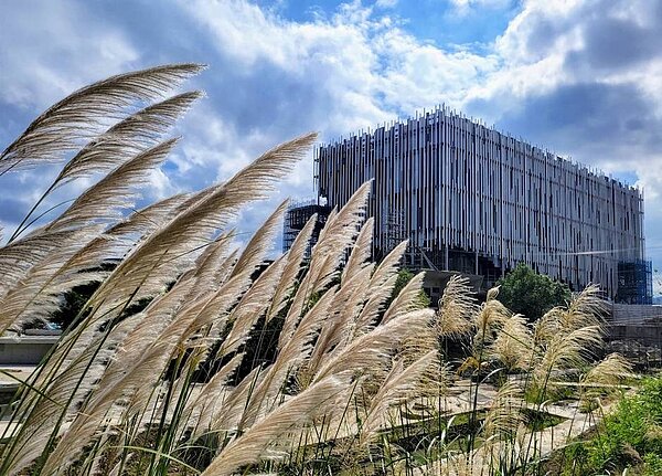 新北市美術館(新美館)即將對外開放第一期戶外園區及部分場域。圖/新北市美術館臉書