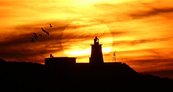 歡迎大家帶著相機來現場卡位，欣賞極北燈塔懸日美景。航港局提供