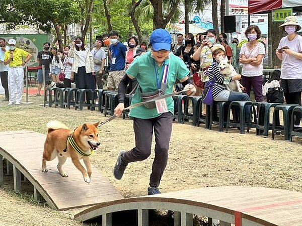 大型犬比賽飼主跟狗狗合作跑向終點。圖／動物防疫保護處提供