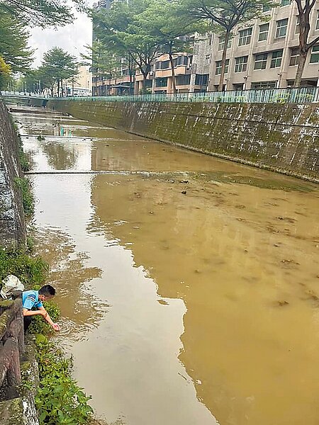 豆子埔溪附近因有建商開挖地下室,疑似汙水染防制設備功能不足,排出的泥水讓豆子埔溪水黃濁。(吳旭智提供/邱立雅竹縣傳真)