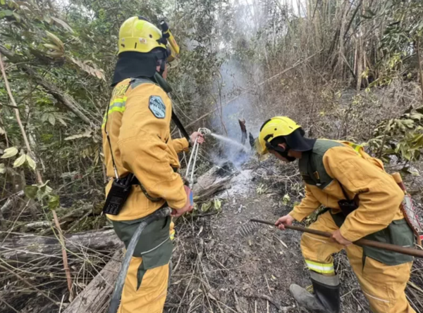 林務局屏東林區管理處人員投入山林滅火行列。圖／屏東林管處提供