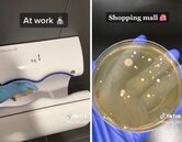 洗完手別用烘手機　她用小實驗證實：細菌全都吹回手上