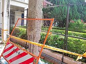 麻園國小成危樓　全校將搬遷