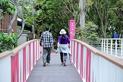 潭雅神綠園道新熱點，夢幻宮粉景觀橋人車分道安全又吸睛。圖／台中市觀旅局提供