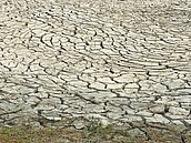 月世界滯洪池乾涸龜裂　遊客盼降雨解渴