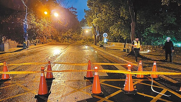 19日傍晚6點左右彰化八卦山牌樓附近停車場一顆巨大路樹應聲倒塌，橫跨兩線道，樹葉掉滿地，所幸當時沒有民眾經過，否則後果不堪設想。（彰化縣政府提供／吳建輝彰化傳真）