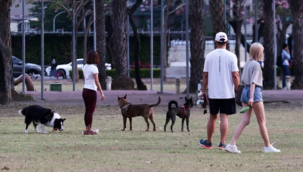 今天水氣稍減少,台灣附近大致為偏東風的環境,迎風面的北部、東半部地區雲量稍多,偶有零星飄雨的機率,中南部則為多雲可見陽光的天氣,午後山區及近山區平地有局部短暫陣雨。聯合報資料照片