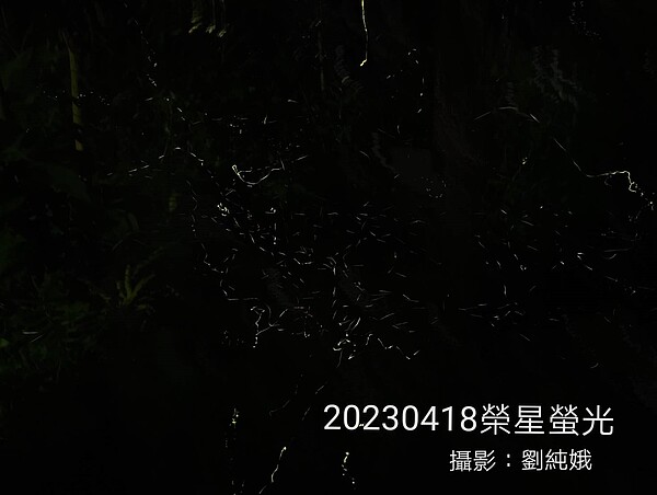 志工幹部在生態池拍出璀璨螢光。圖/榮星花園公園生態守護志工隊劉純娥拍攝