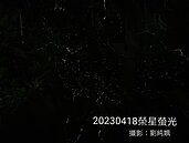 榮星花園「螢光」爆發！重啟周末導覽　大樓響應關窗簾行動