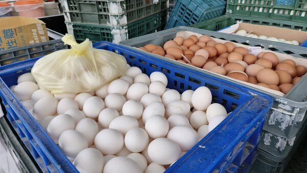 根據農委會最新雞蛋產銷資訊，雞蛋日產量仍維持11萬2000箱，產量和上周相同。聯合報系資料照